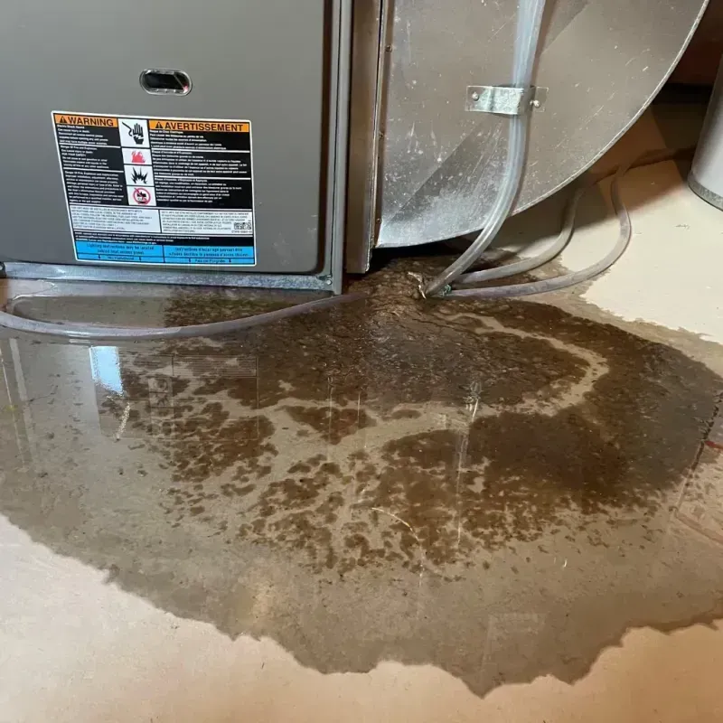 Appliance Leak Cleanup in Spirit Lake, IA